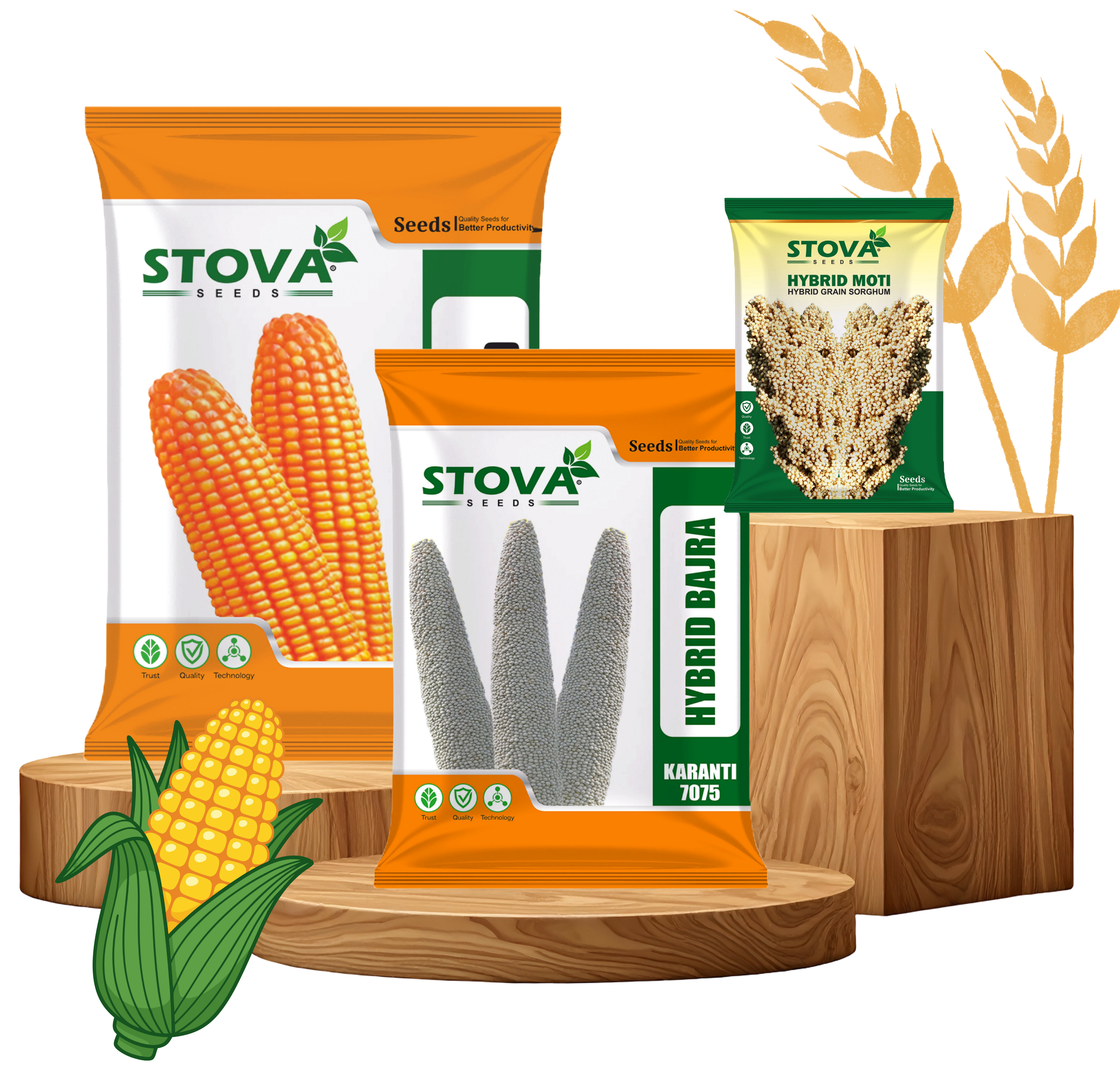 STOVA Seeds