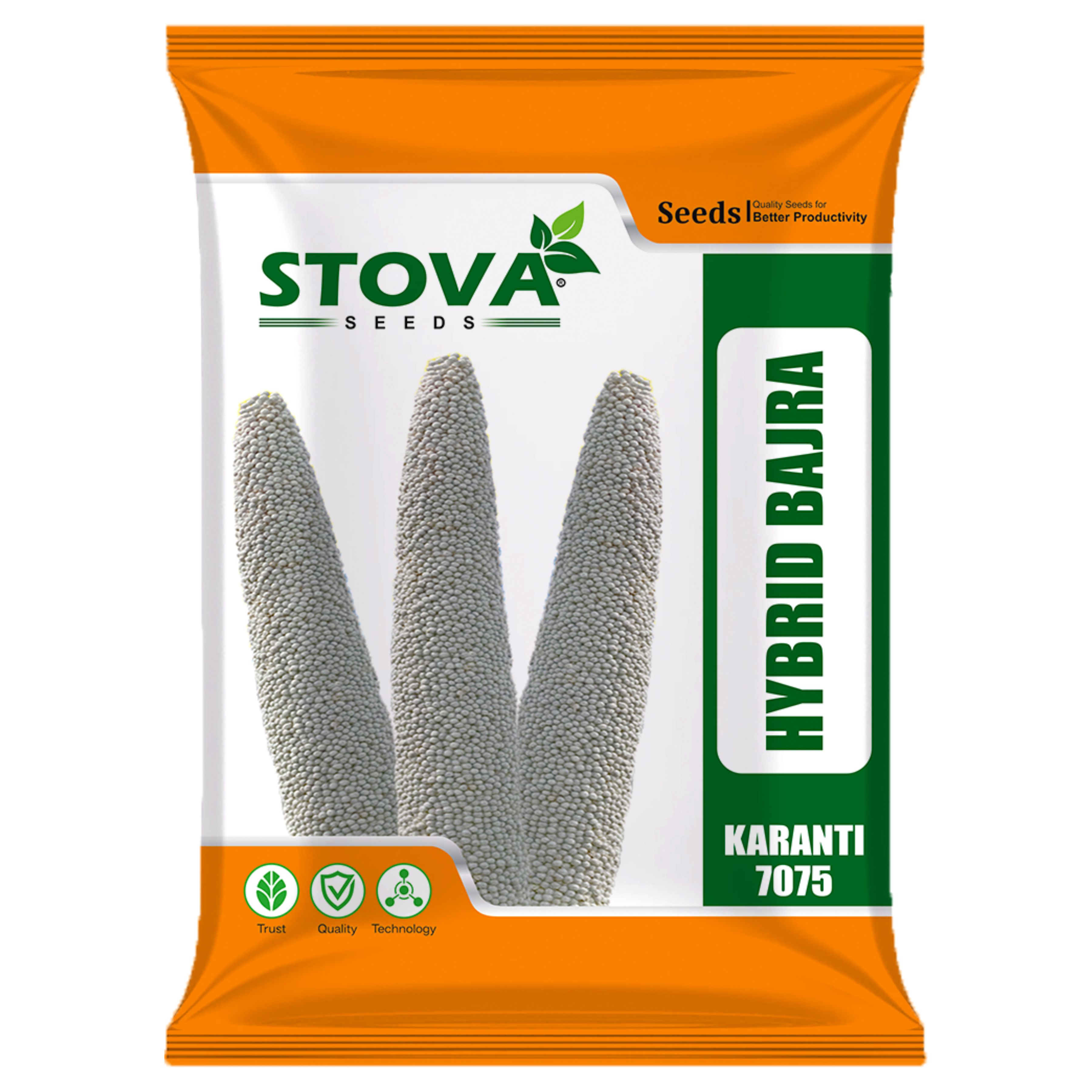 Hybrid Bajra