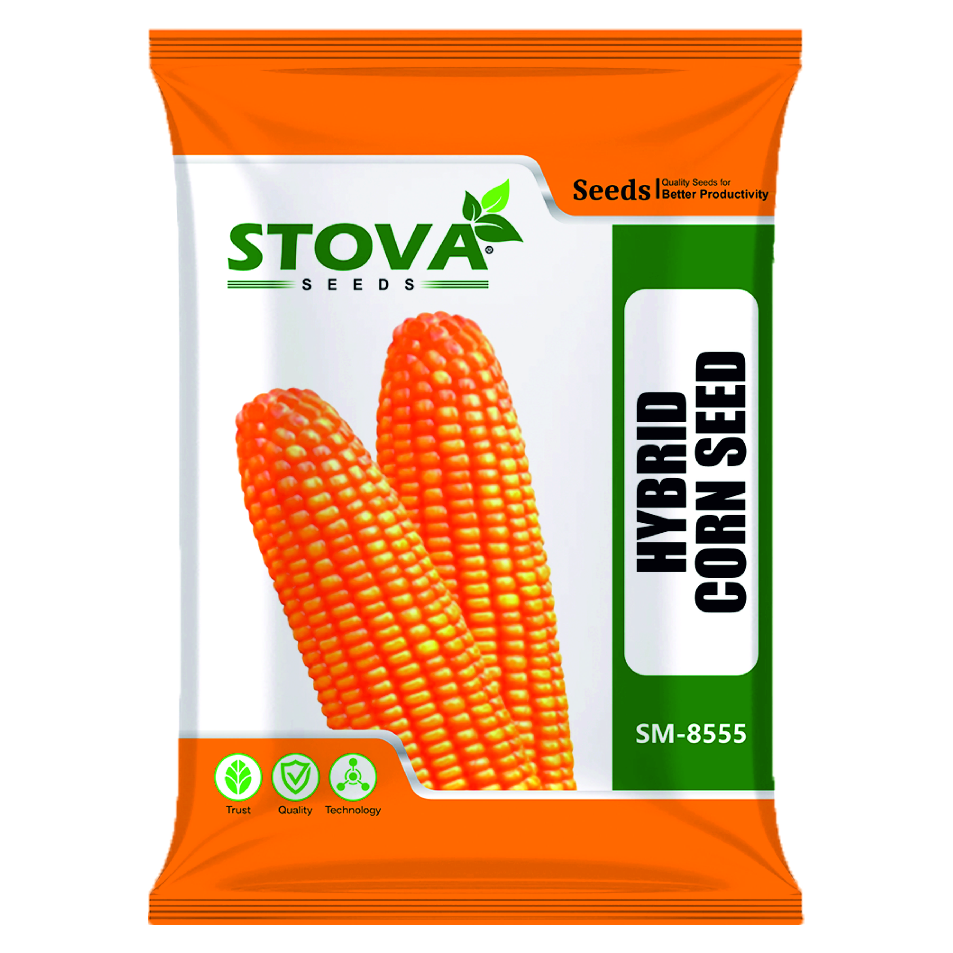Hybrid Maize