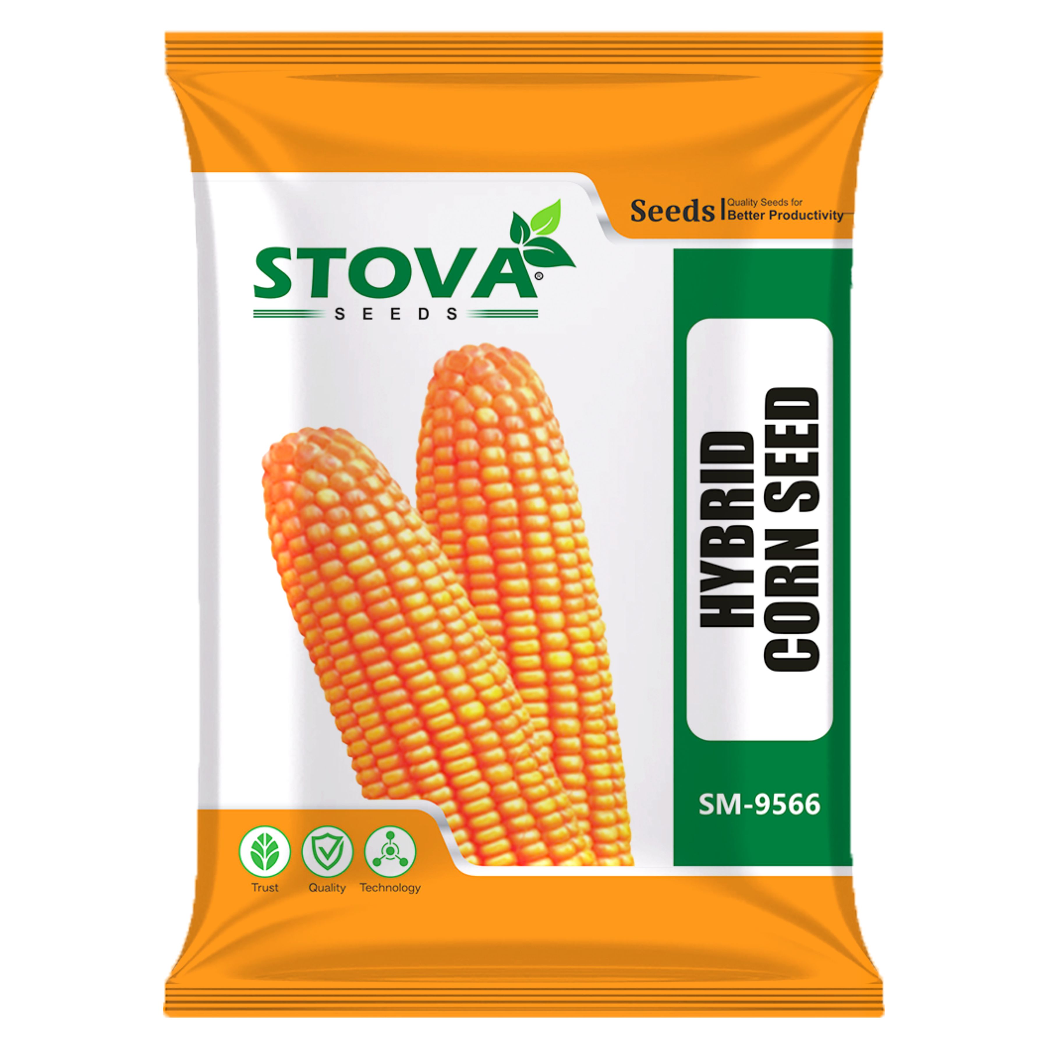 Hybrid Corn Seed SM-9566