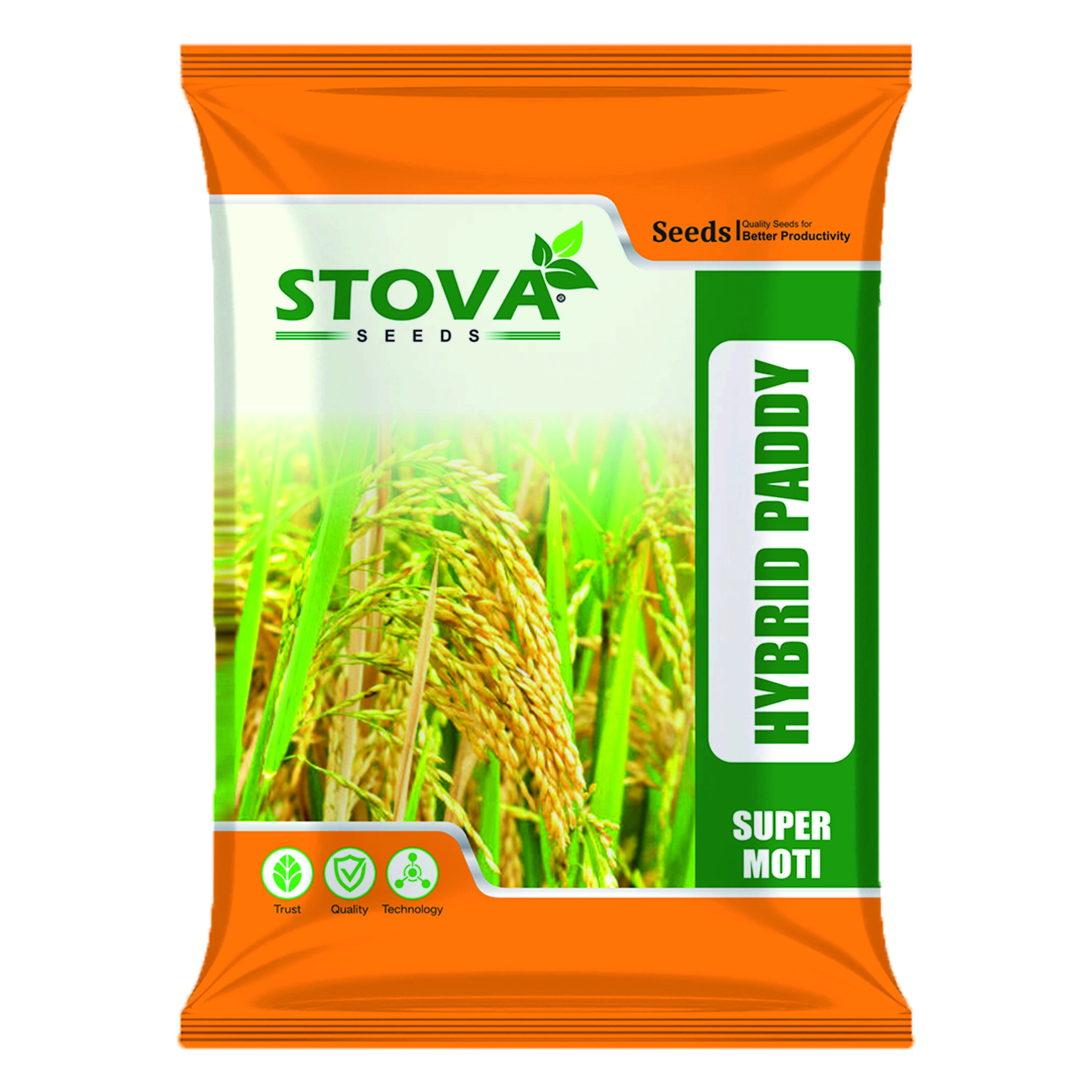 Hybrid Paddy