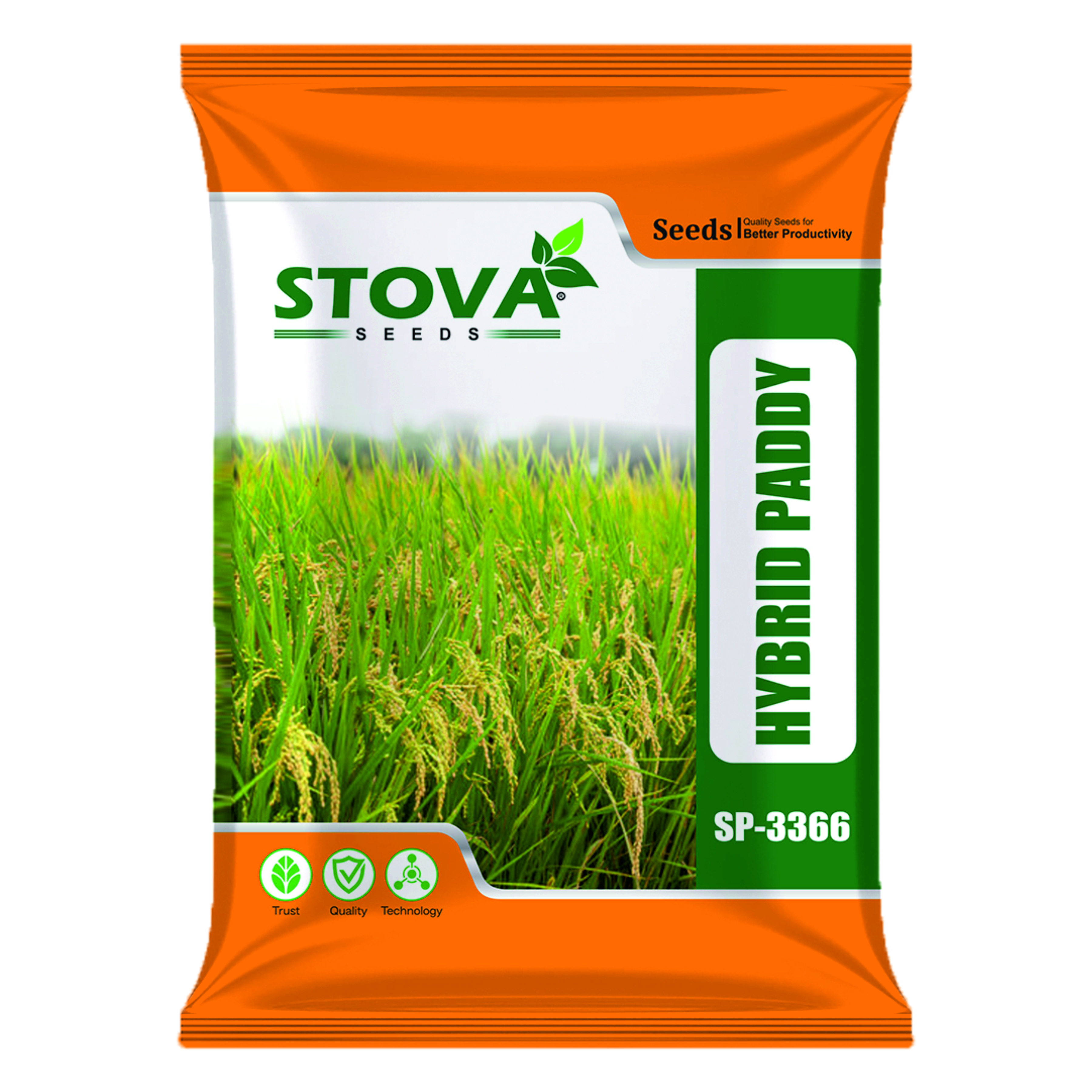Hybrid Paddy SP-3366