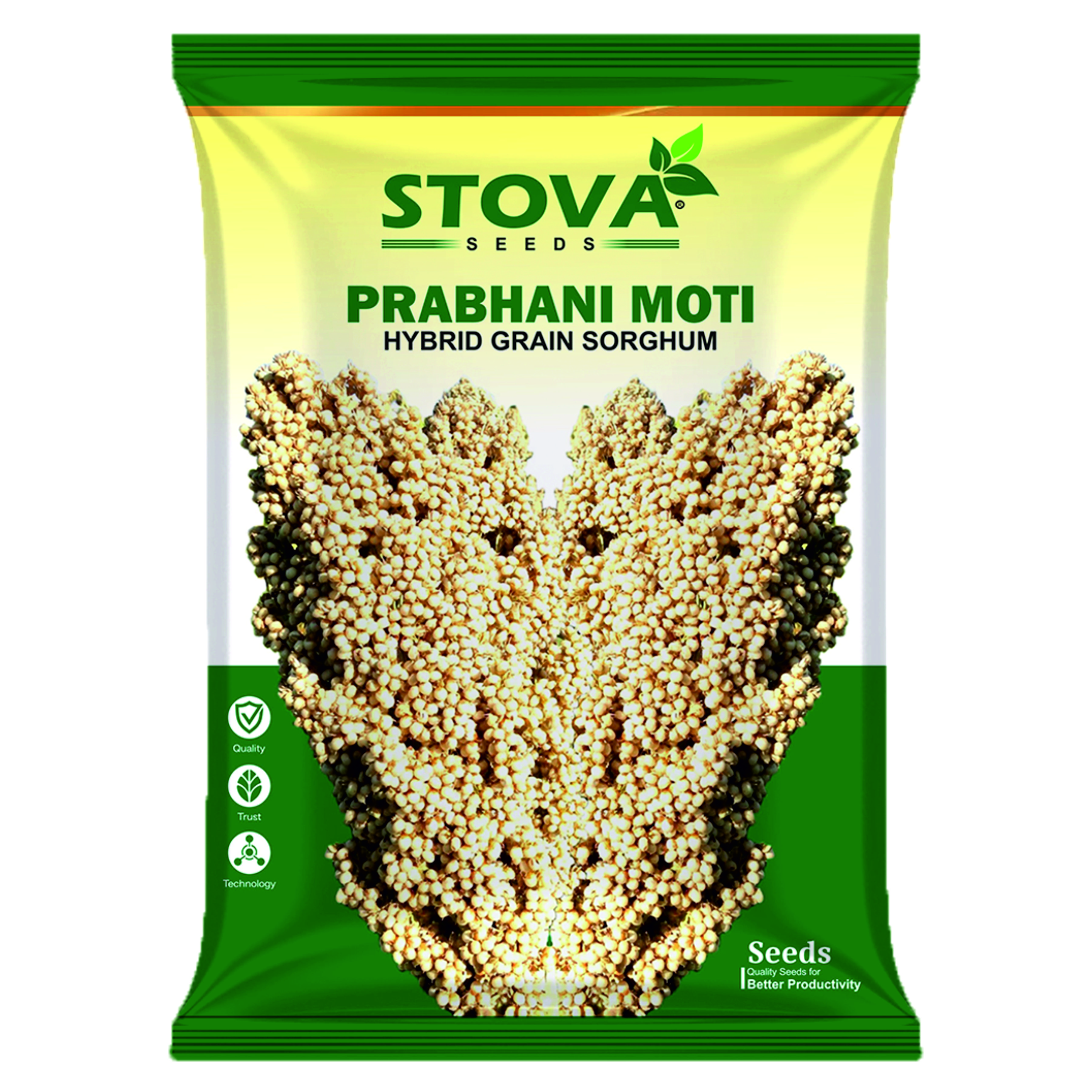 Hybrid Sorghum