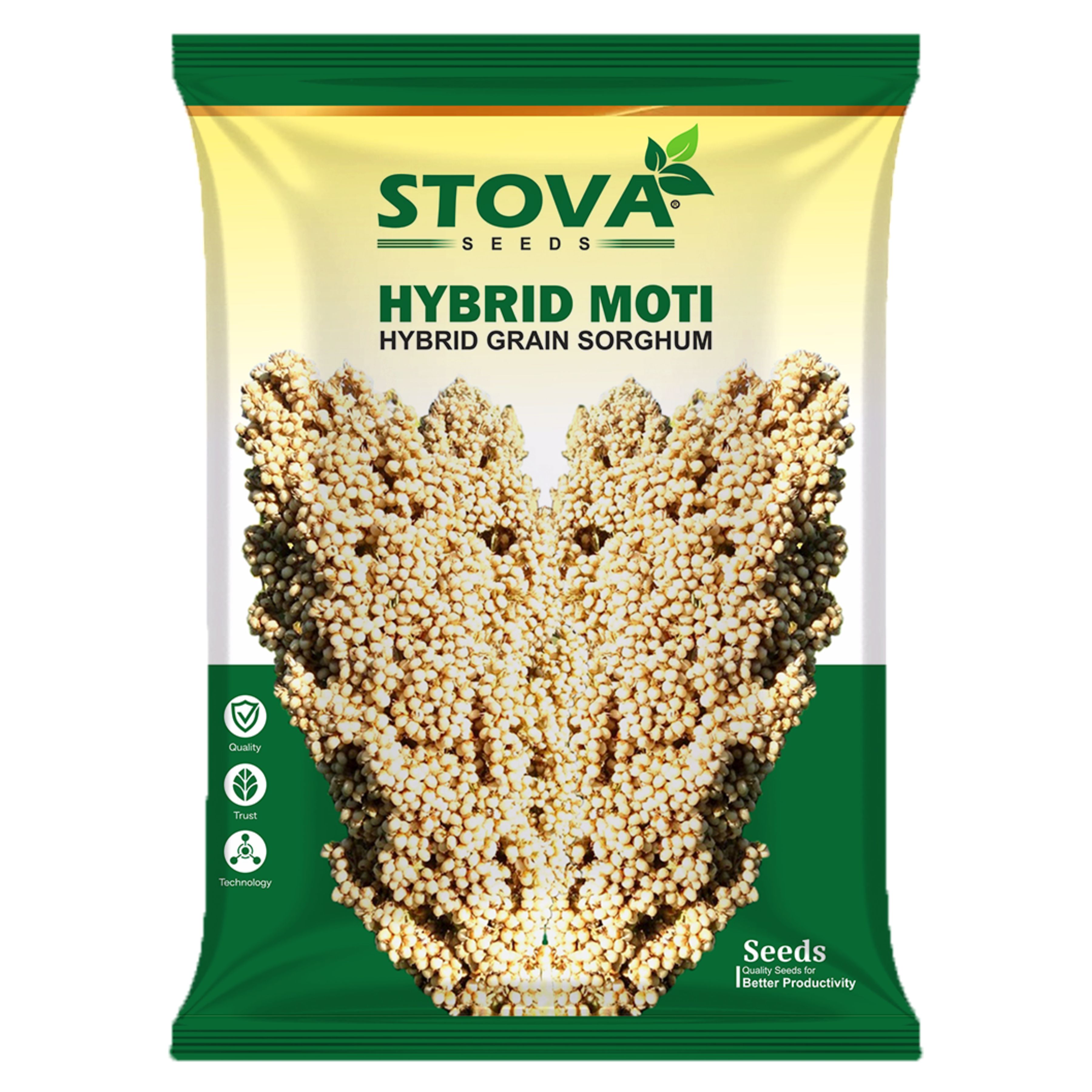 Jowar Seed