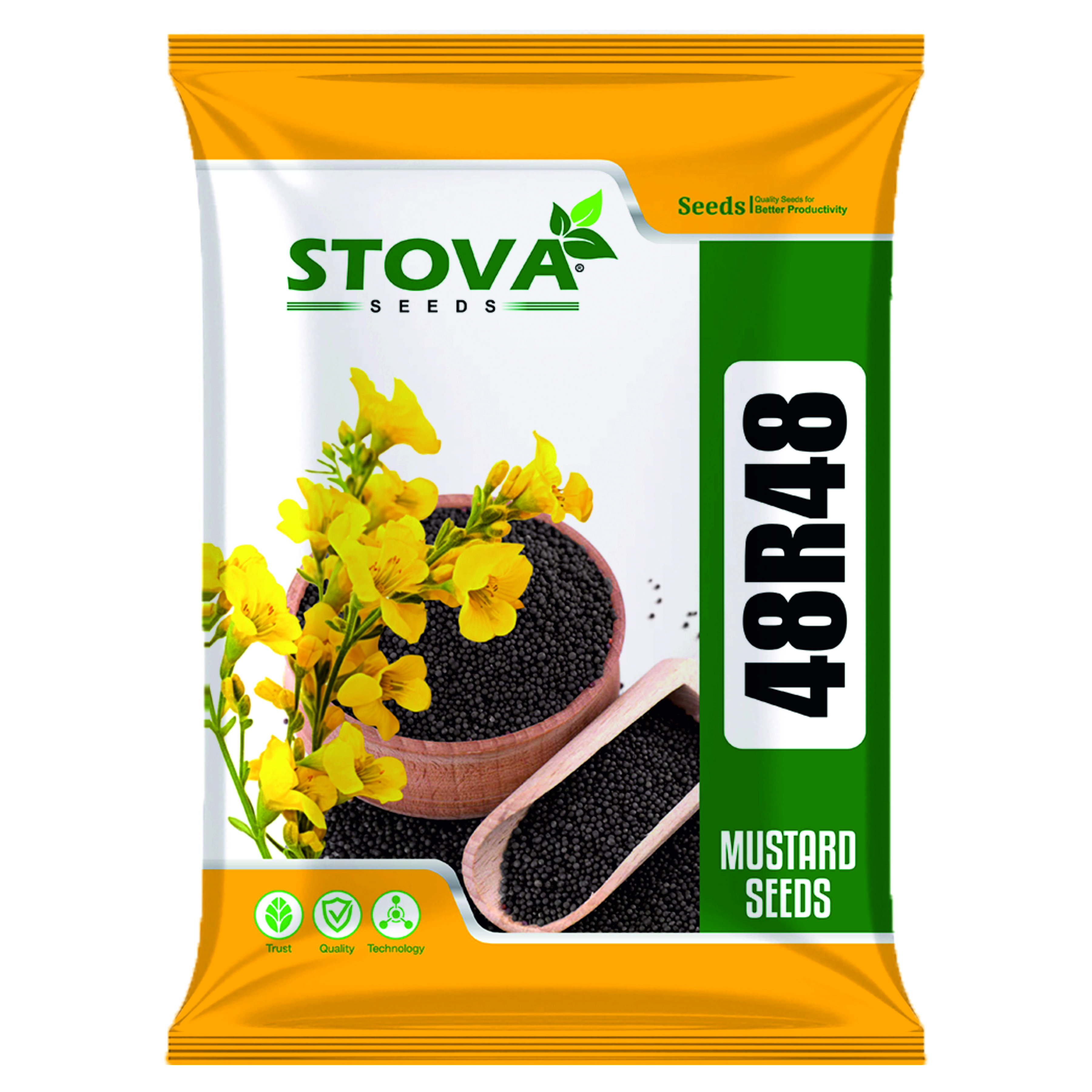 Mustard Seed