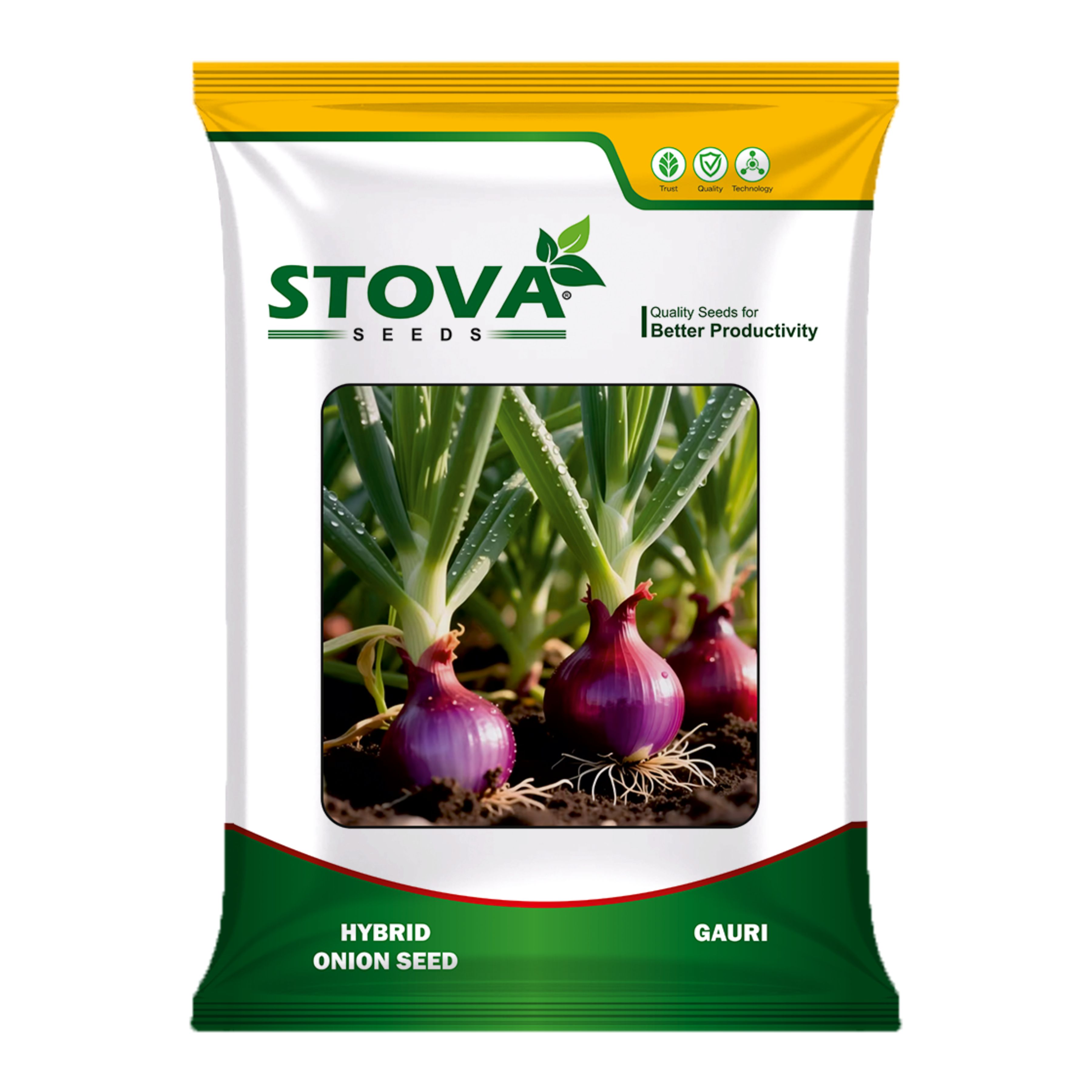 Hybrid Onion Gauri