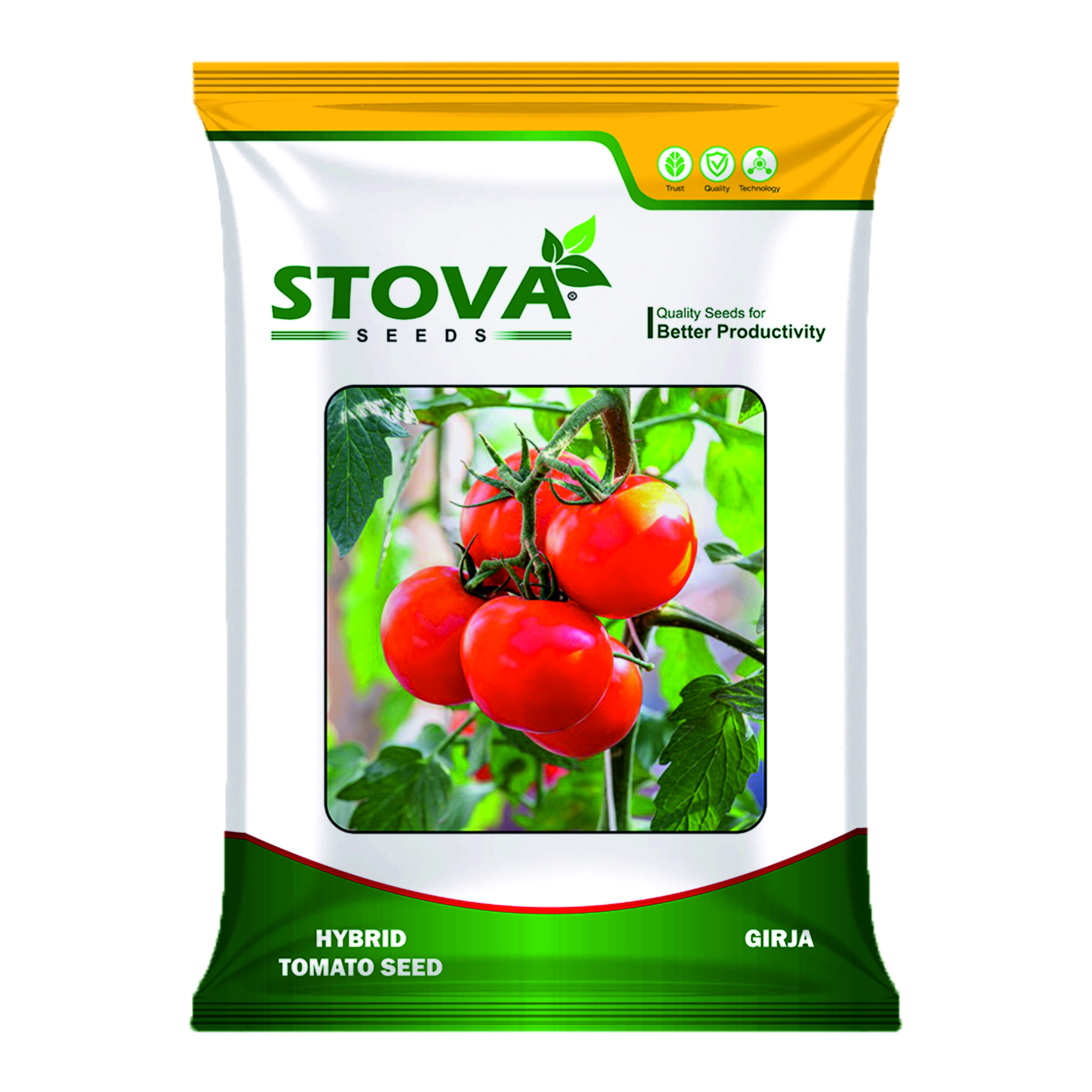 Hybrid Tomato Girja
