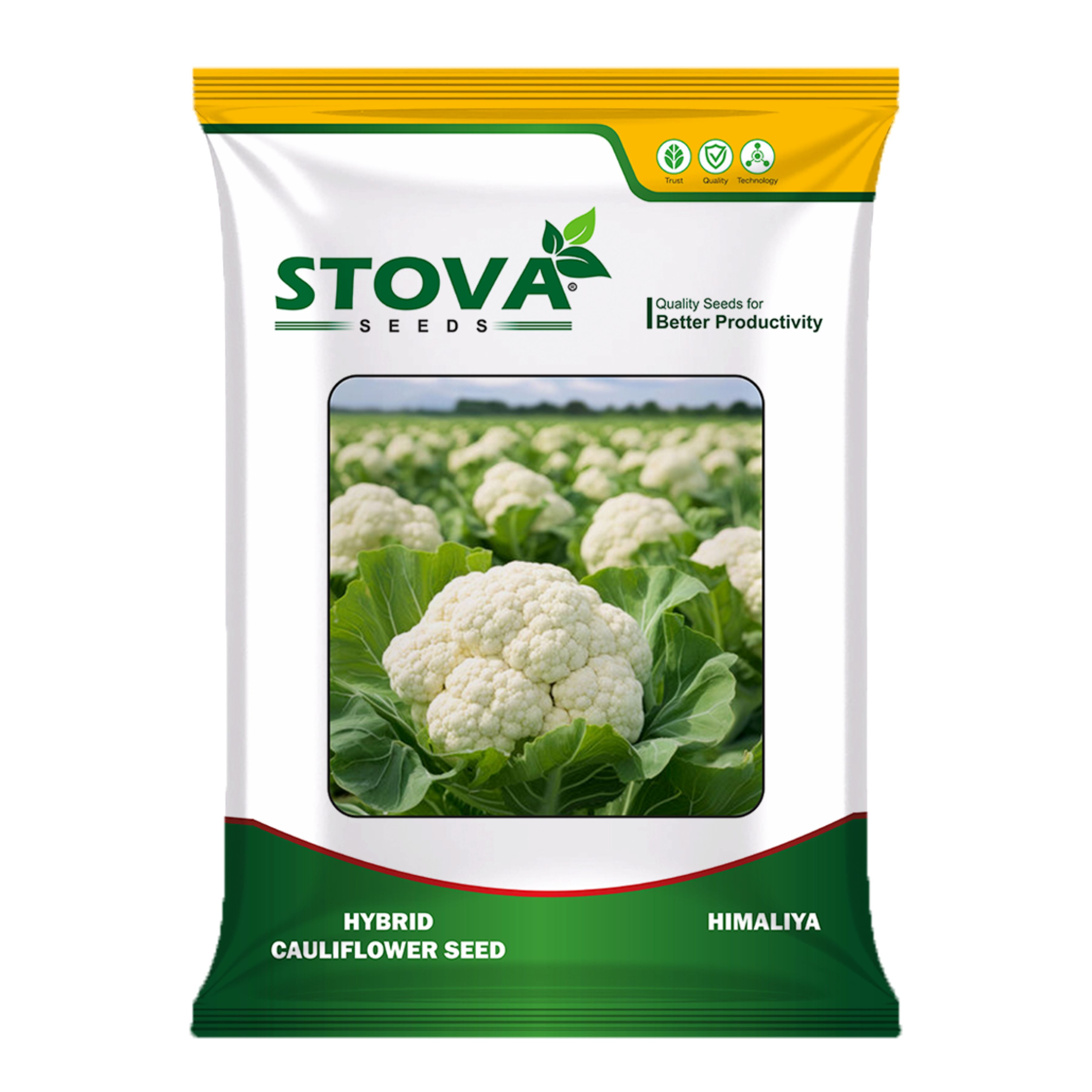 Hybrid Cauliflower Himaliya