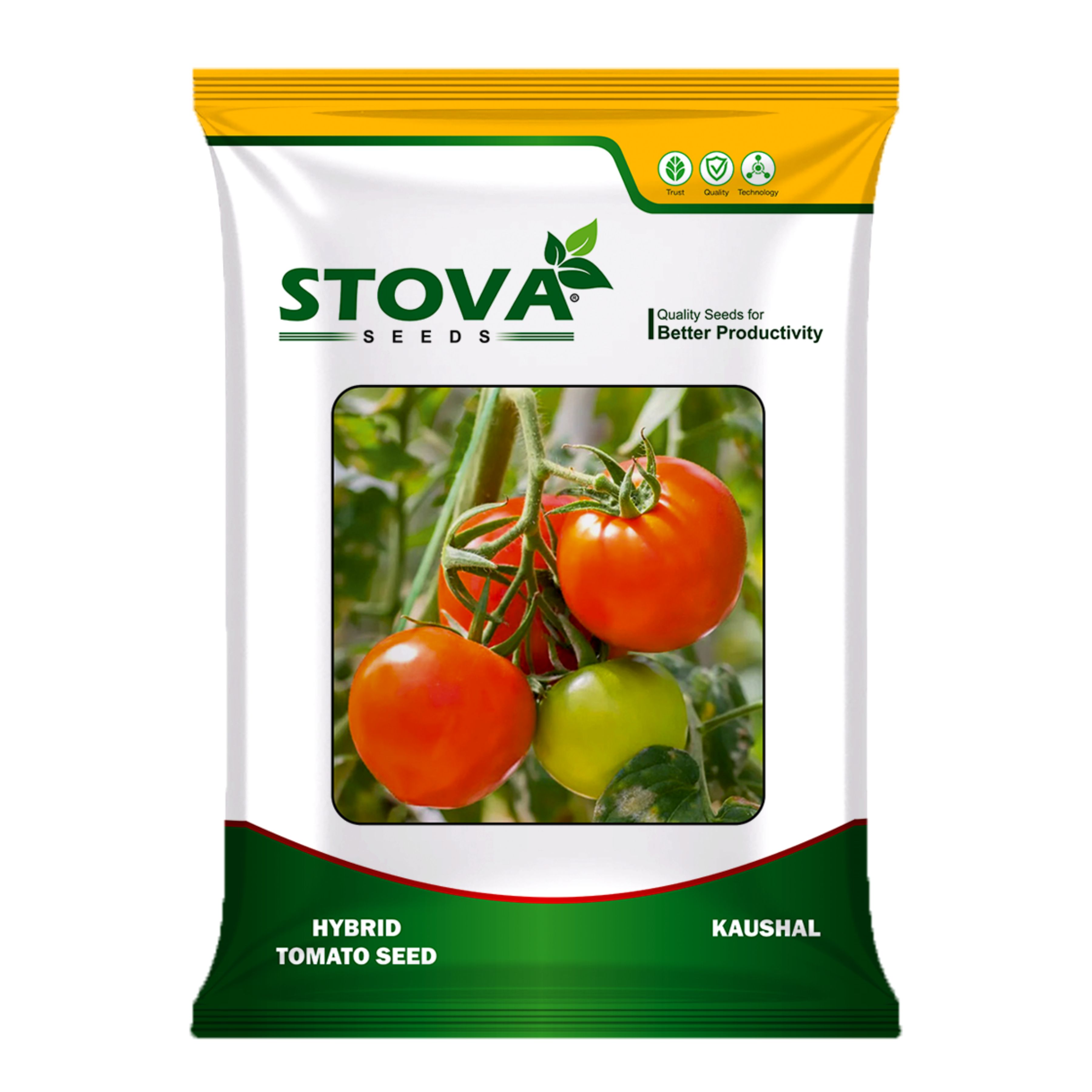 Hybrid Tomato Kaushal
