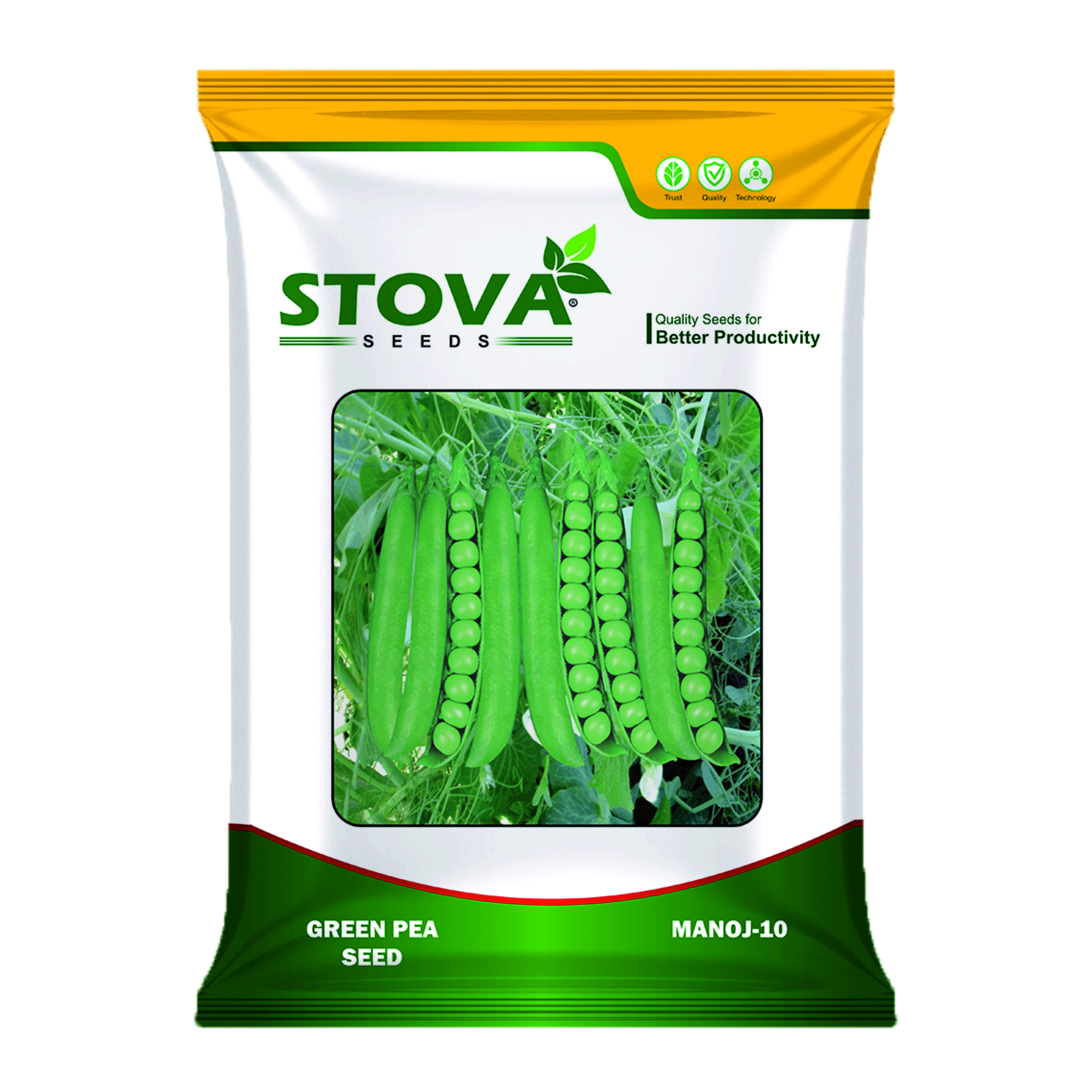 Green Pea Manoj-10