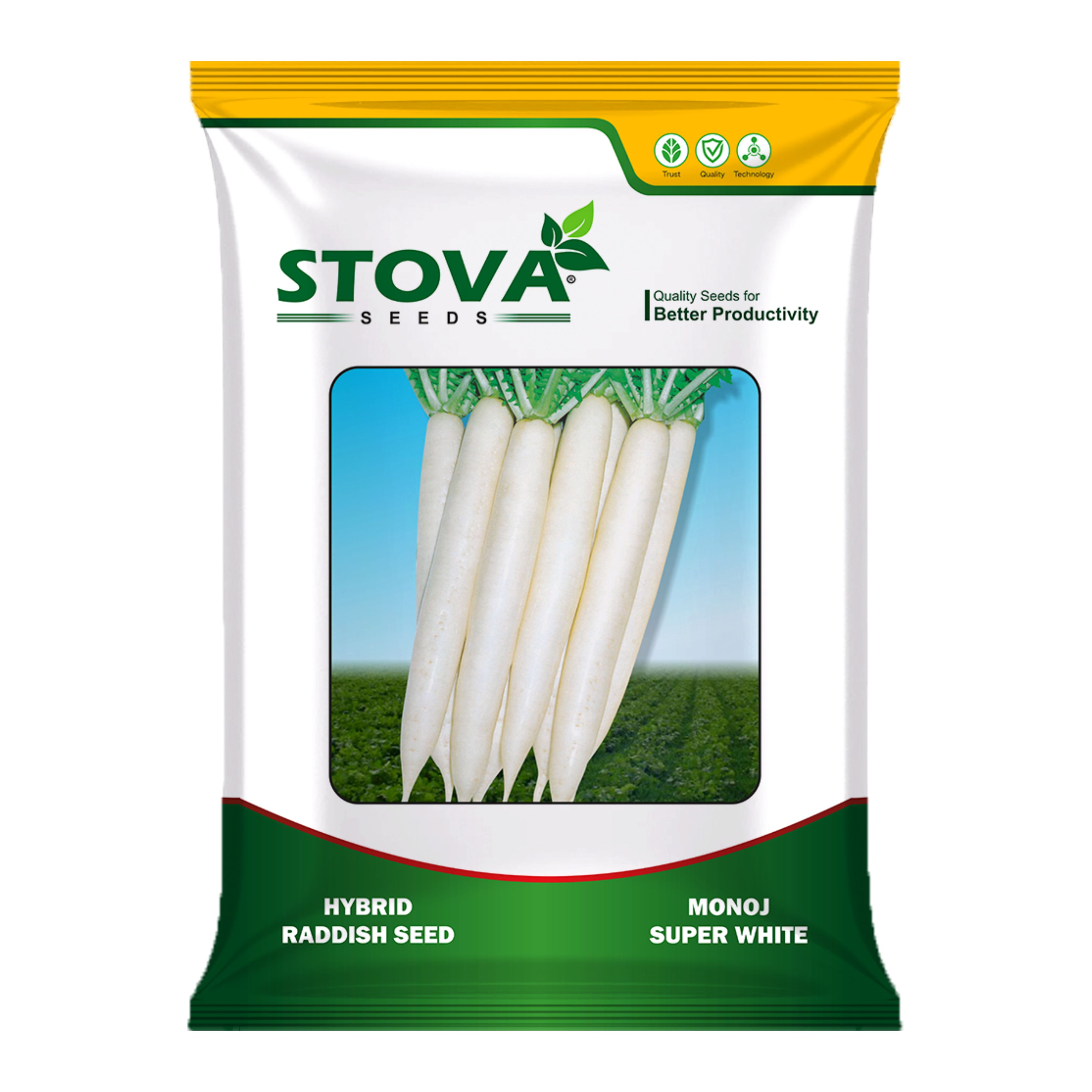 Hybrid Radish Manoj Super White