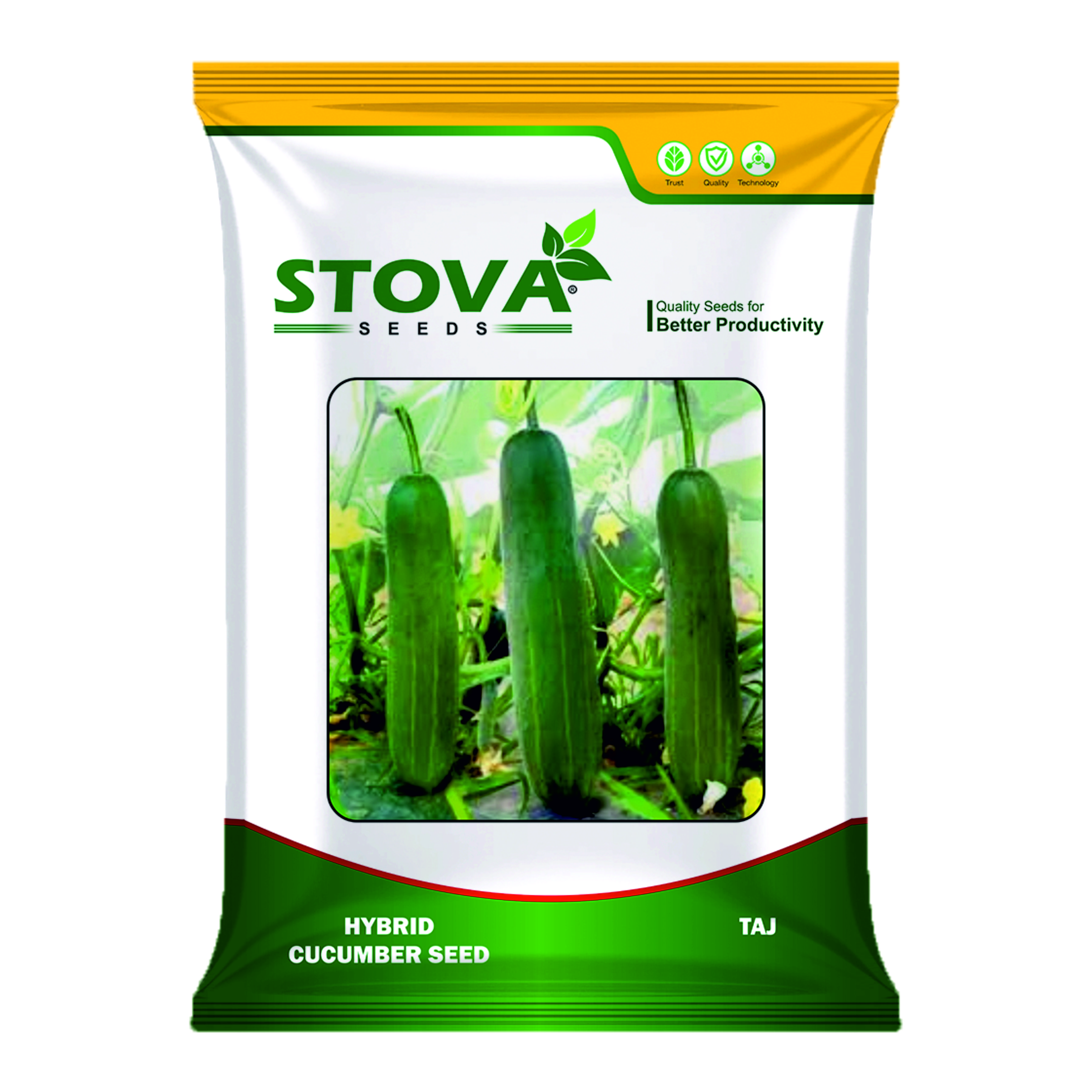 Hybrid Cucumber Taj