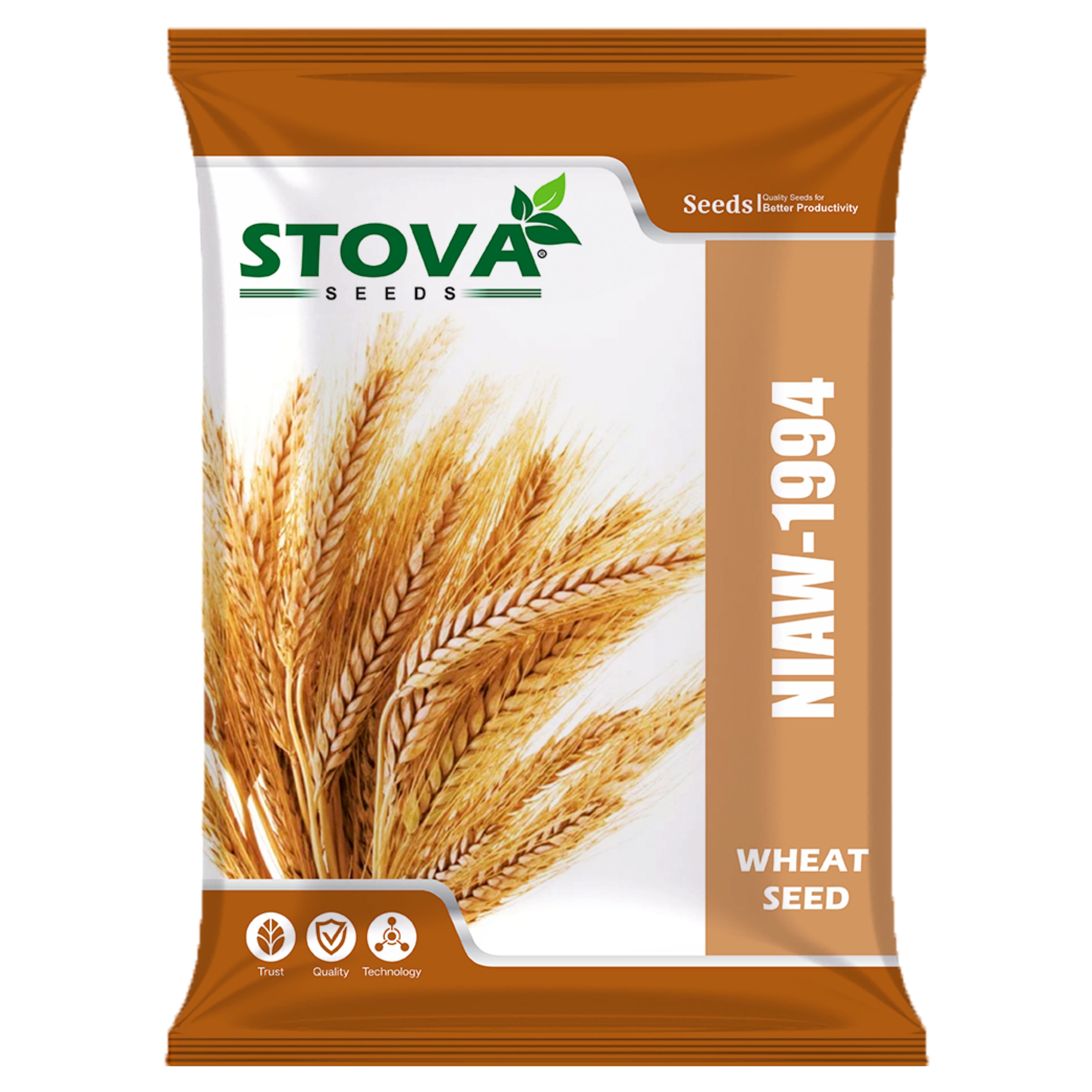 Wheat Seed