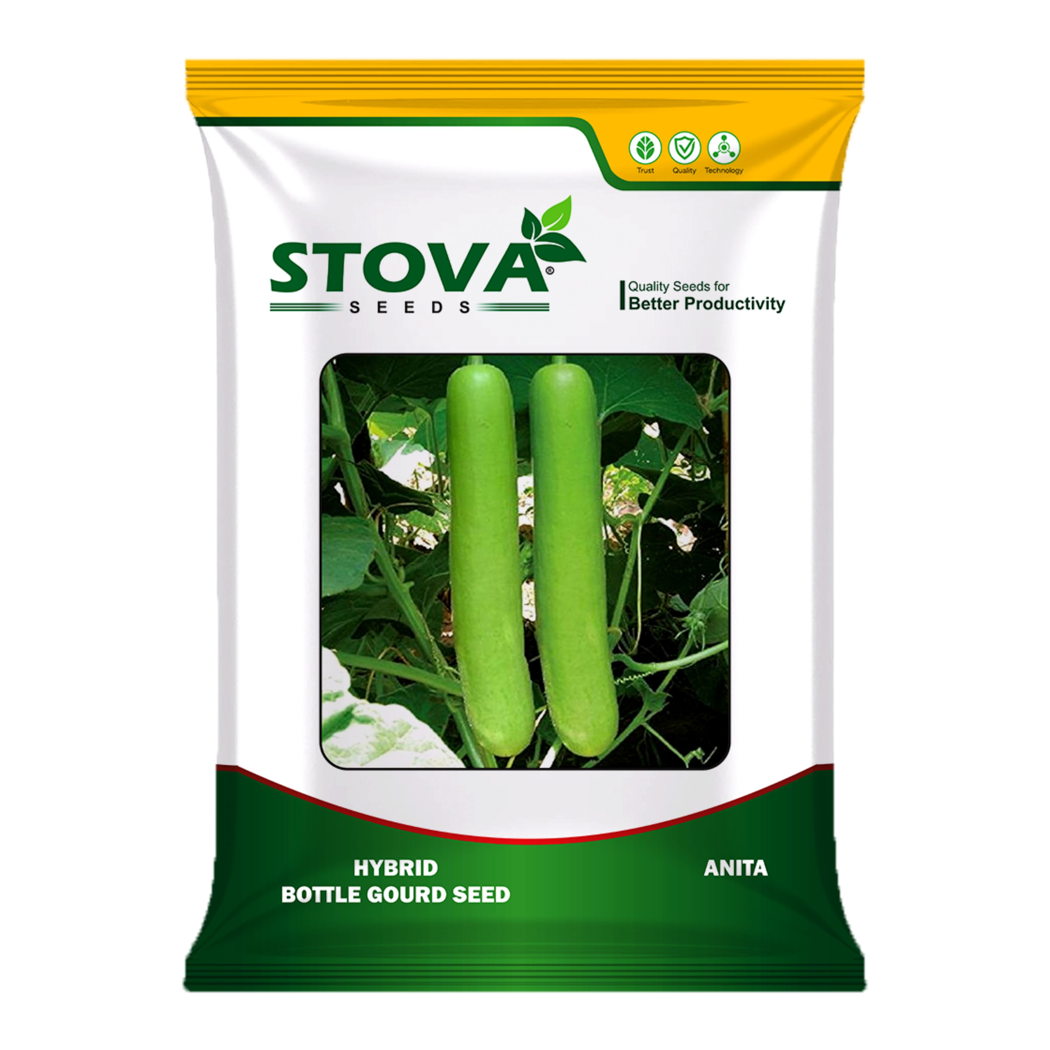 Hybrid Bottle Gourd Anita