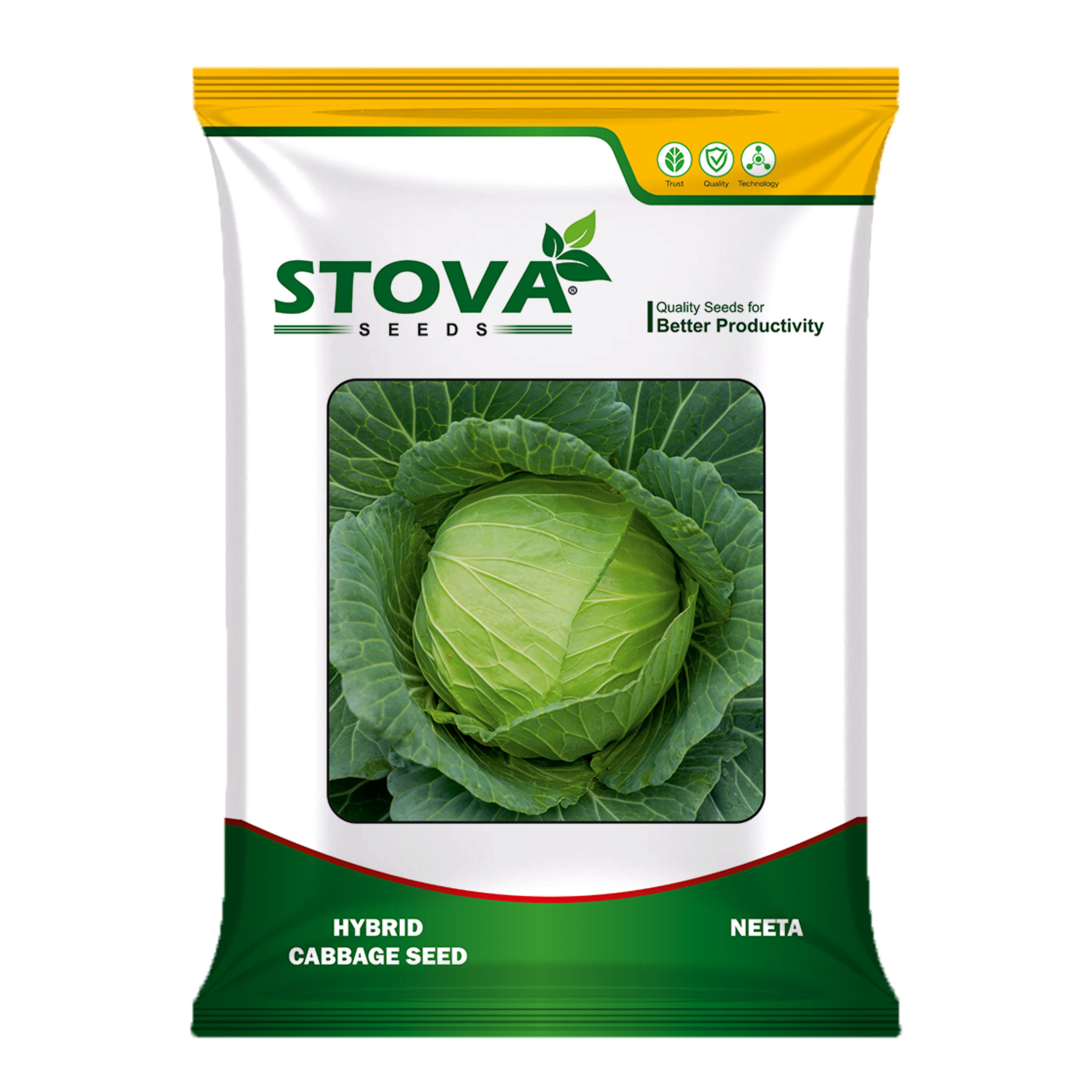 Hybrid Cabbage Neeta