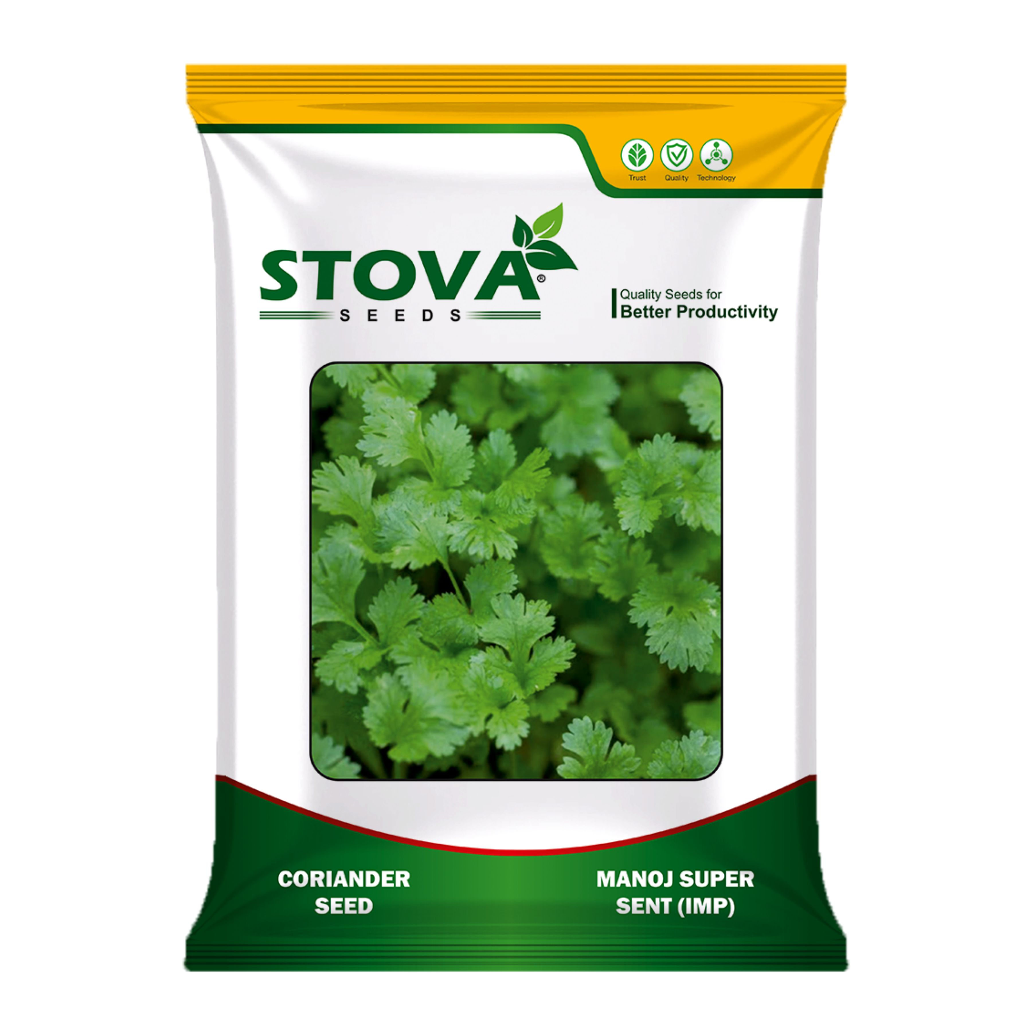 Coriander Manoj Super Sent