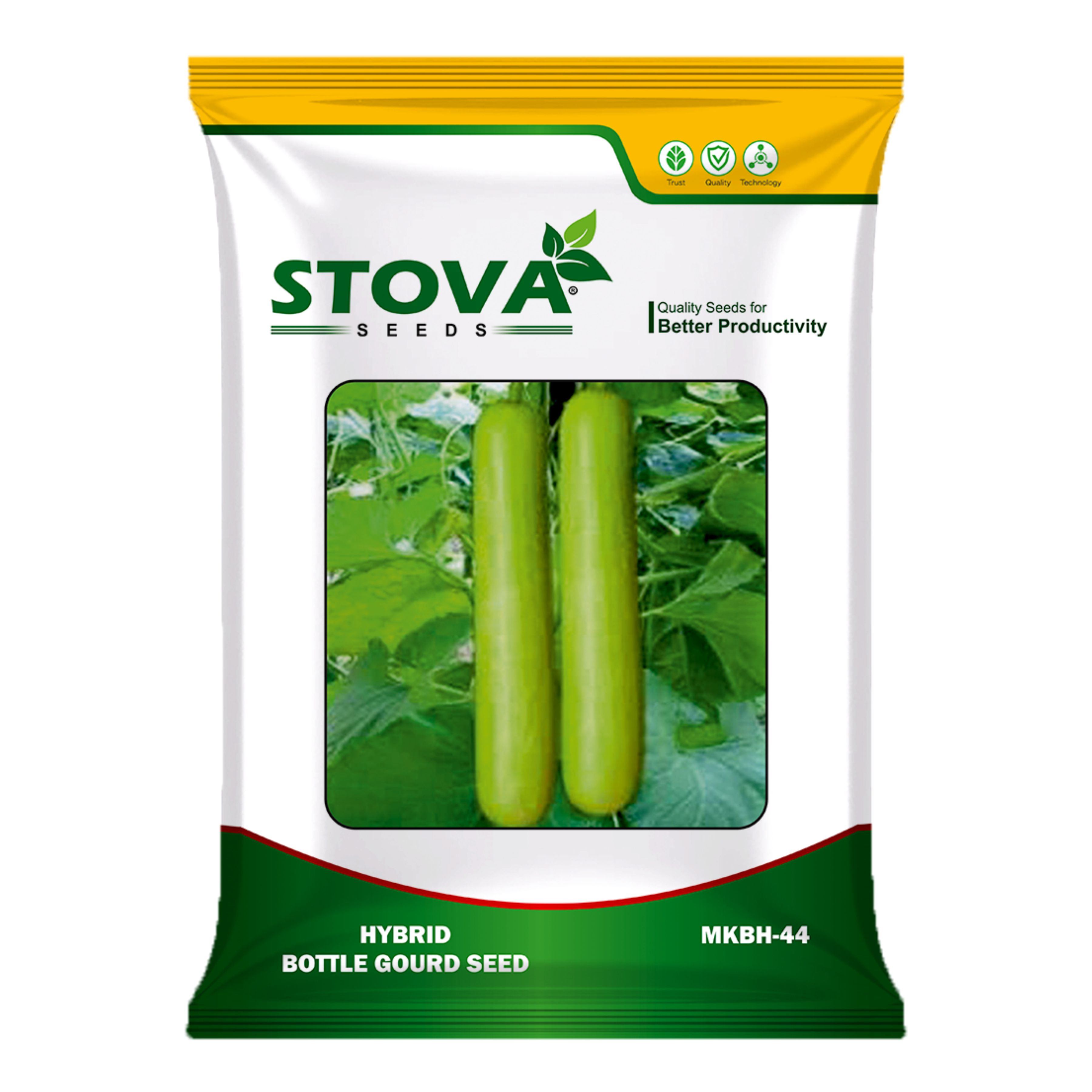 Hybrid Bottle Gourd MKBH-44