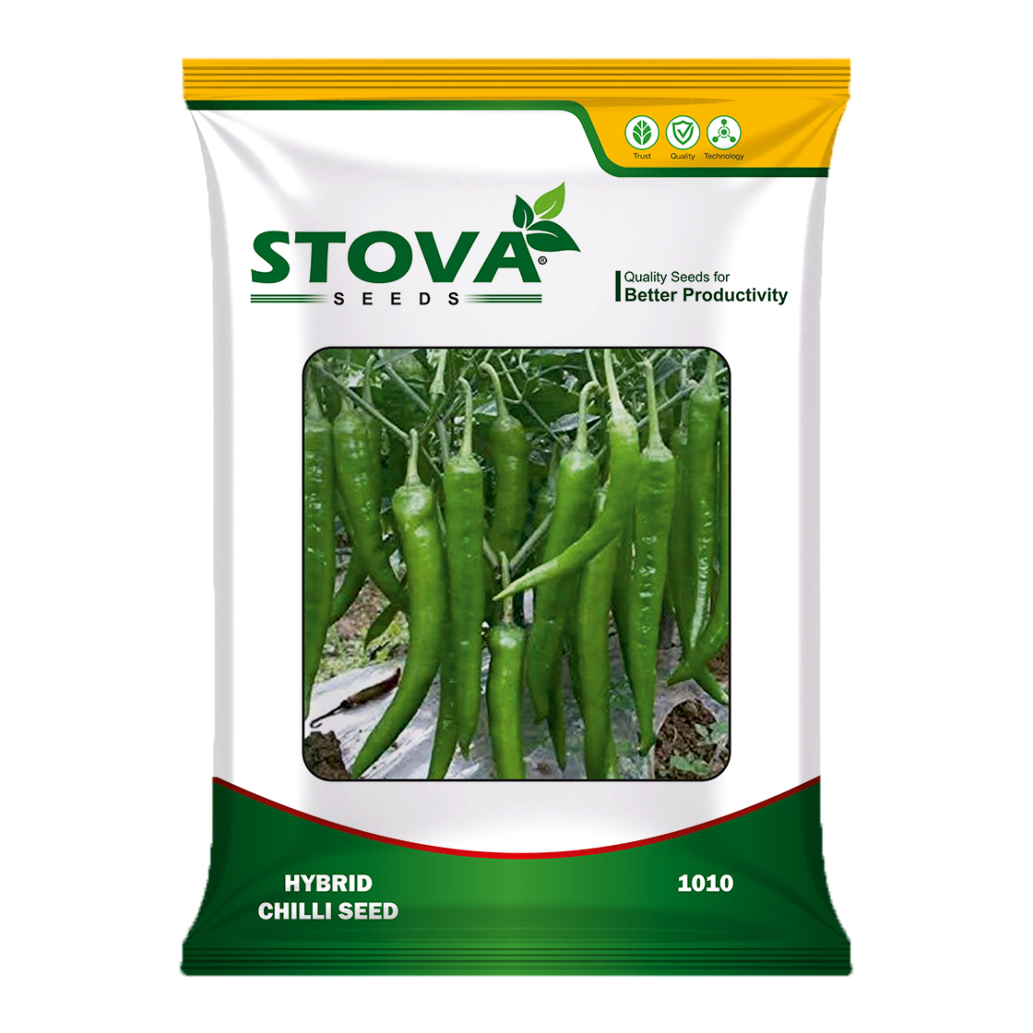 Hybrid Chilli 1010